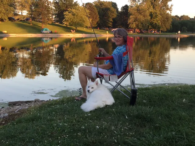 CareVet of Lincoln Way Picture 2