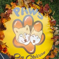 Paws on Chicon ico