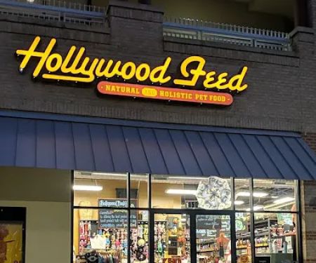 Hollywood Feed