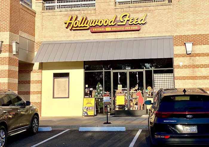 Hollywood Feed Picture 7