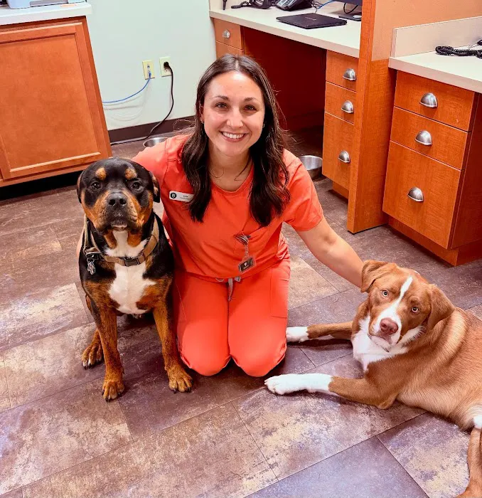 Mid-Atlantic Veterinary Hospital Picture 10