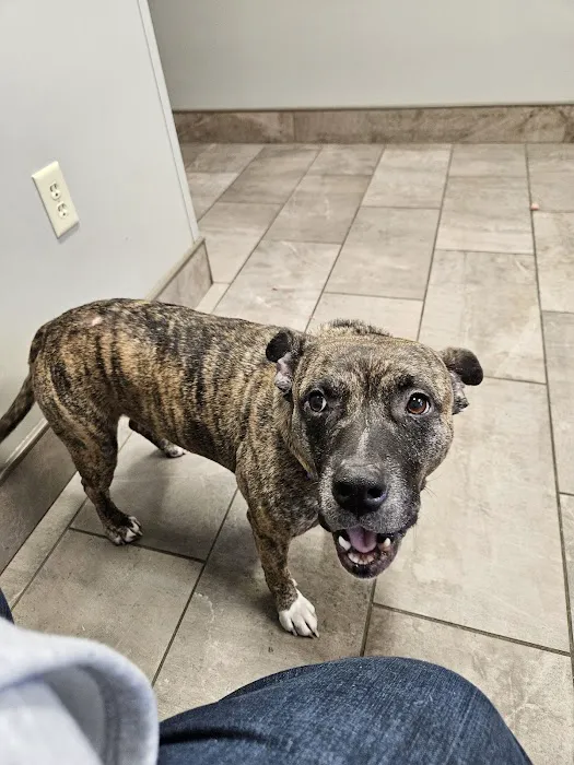 Mid-Atlantic Veterinary Hospital Picture 5