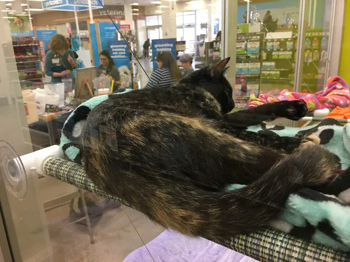 Petco Picture 9