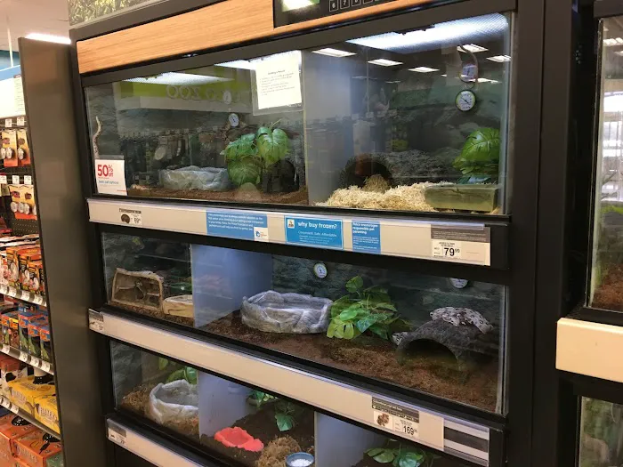 Petco Picture 2