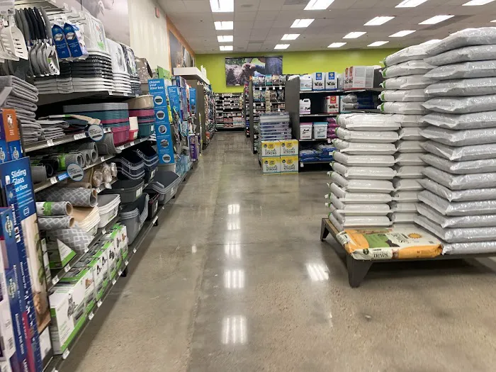 Petco Picture 5