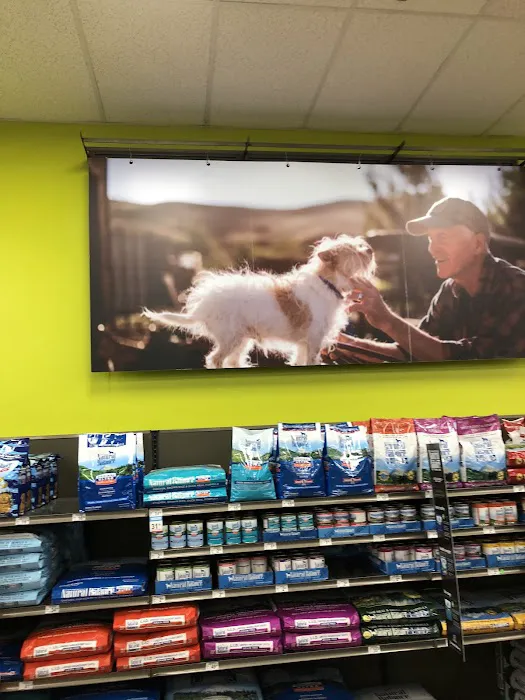 Petco Picture 8