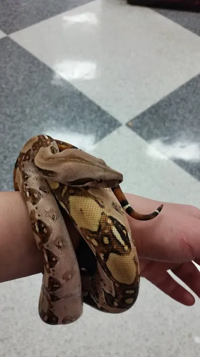 Petco Picture 7