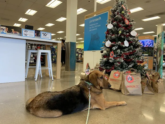 Petco Picture 4