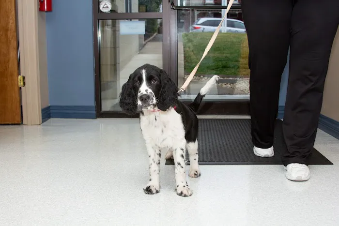 Animal Health Clinic of Funkstown Picture 2