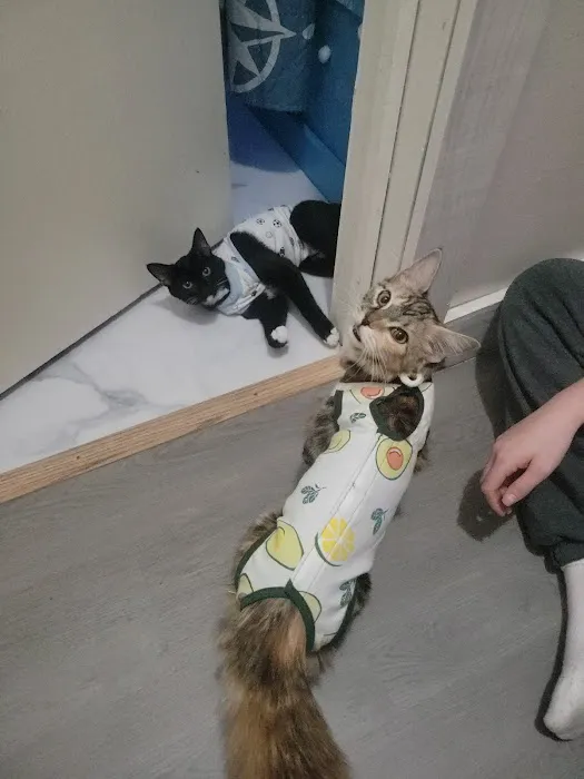 Fifty Shades of Furr Picture 7