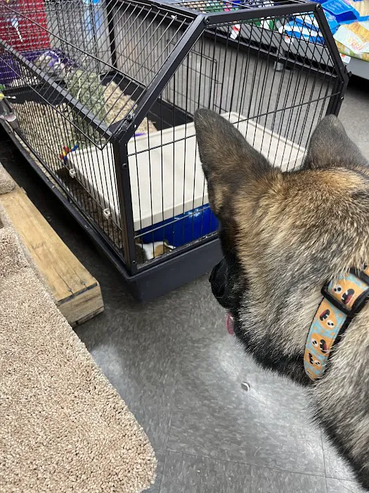 Pet Supplies Plus Austin - N Mopac Picture 5