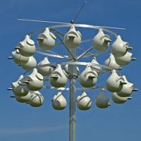 Purple Martin Propagators ico