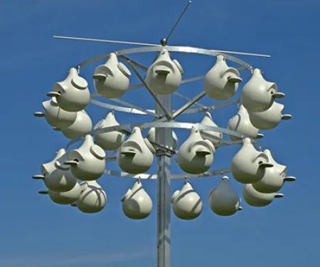 Purple Martin Propagators