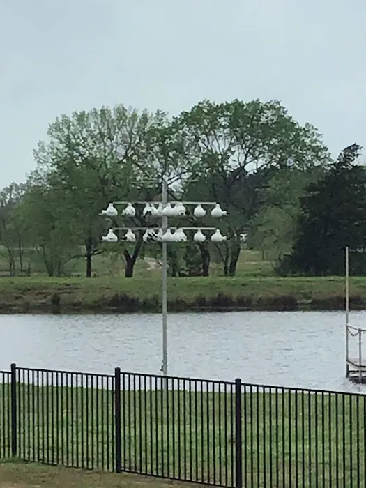 Purple Martin Propagators Picture 3
