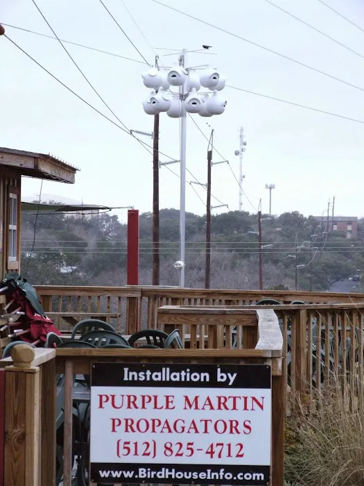 Purple Martin Propagators Picture 5