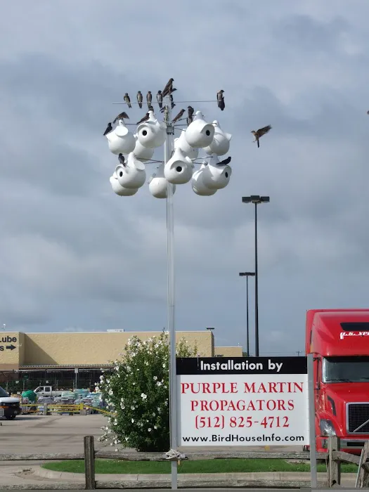 Purple Martin Propagators Picture 8