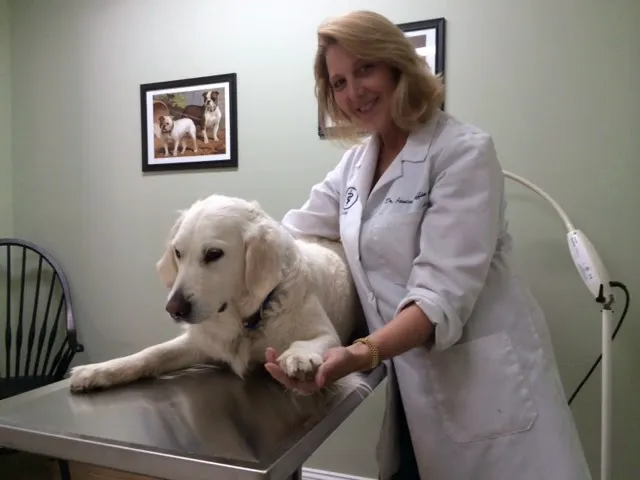 Valley Veterinary Hospital Picture 4
