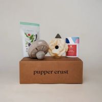 pupper crust ico