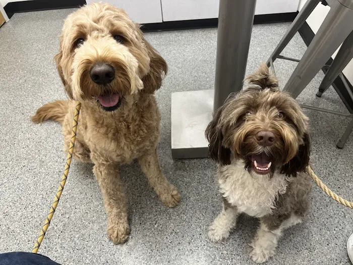 West Frederick Veterinary Hospital Picture 8