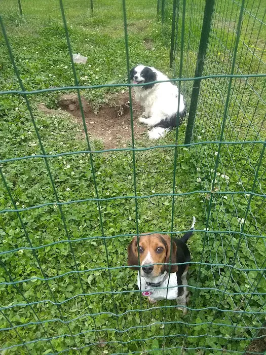 Boonsboro Veterinary Hospital Picture 10