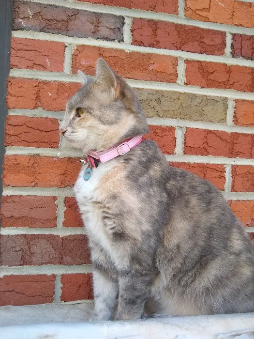 Boonsboro Veterinary Hospital Picture 9