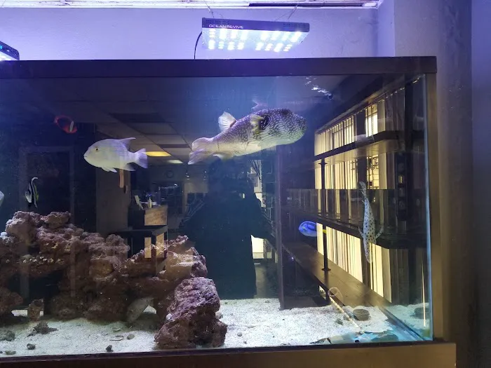 River City Aquatics Picture 3