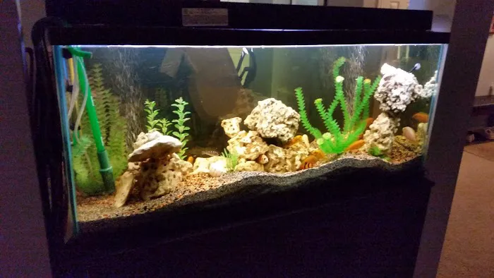 River City Aquatics Picture 1