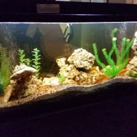 River City Aquatics ico
