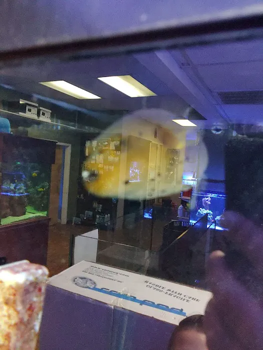 River City Aquatics Picture 8