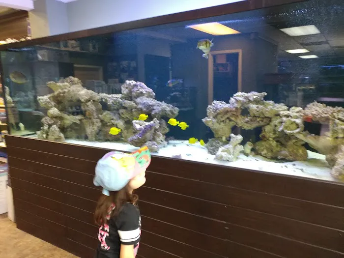 River City Aquatics Picture 5