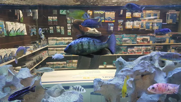 River City Aquatics Picture 7