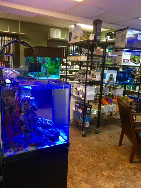 River City Aquatics Picture 4