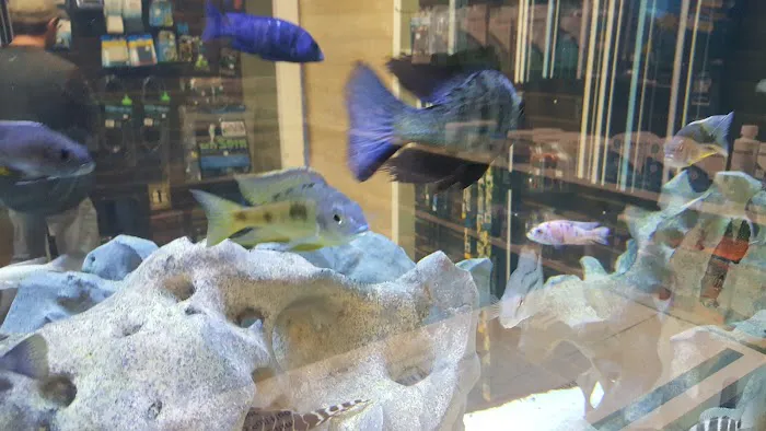 River City Aquatics Picture 9