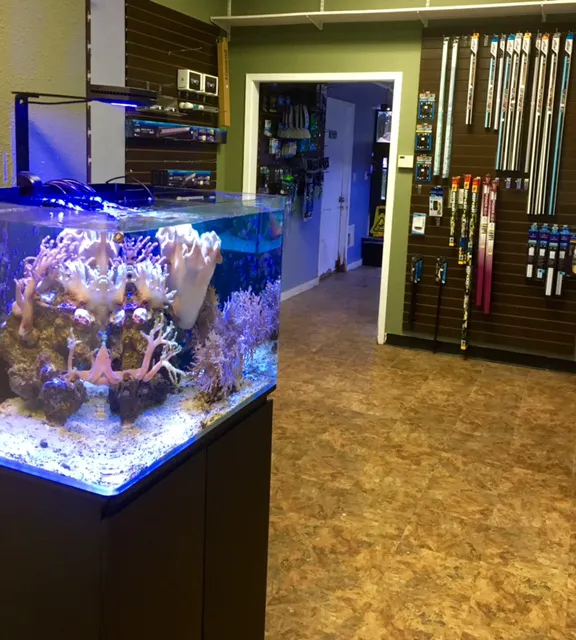 River City Aquatics Picture 10