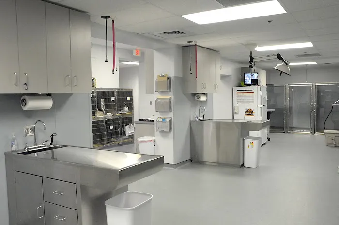 CARE Veterinary Center, A Thrive Pet Healthcare Partner Picture 9