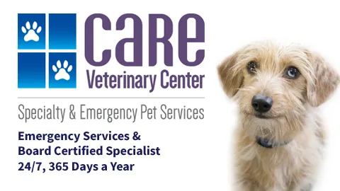 CARE Veterinary Center, A Thrive Pet Healthcare Partner Picture 5