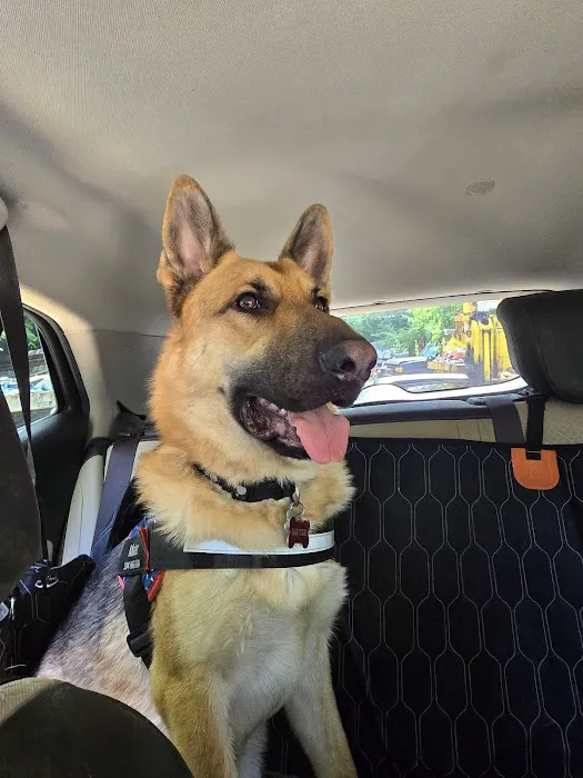 CARE Veterinary Center, A Thrive Pet Healthcare Partner Picture 10