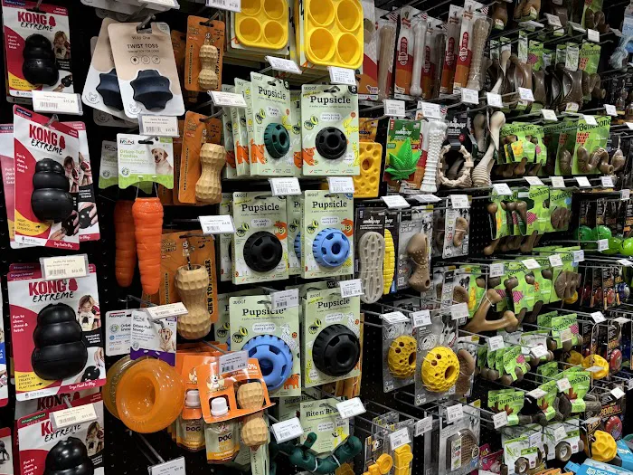 Healthy Pet - Galleria Picture 5