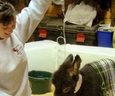 Horizon Equine Vet Services LLC