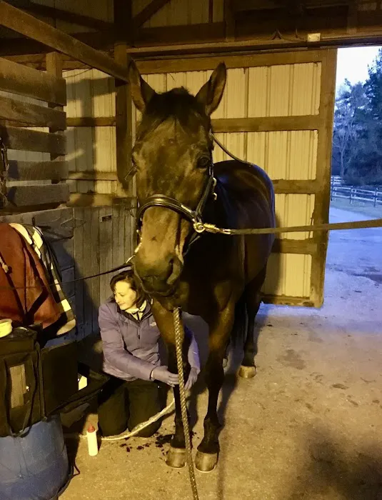Horizon Equine Vet Services LLC Picture 4