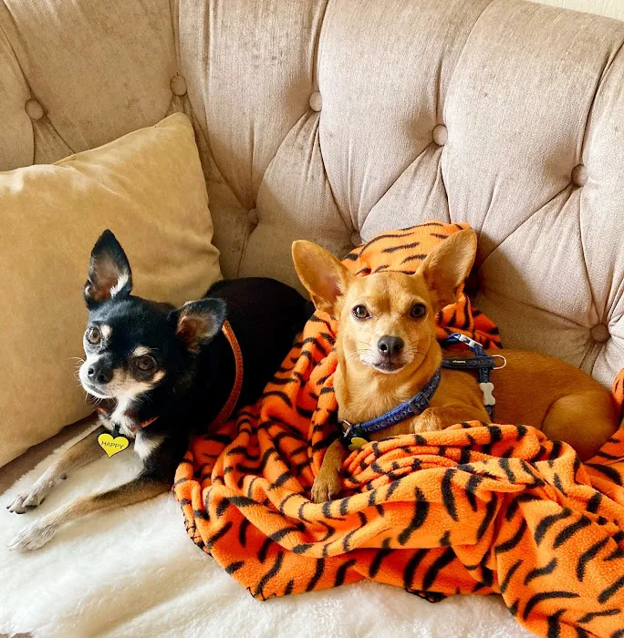 Petco Picture 4