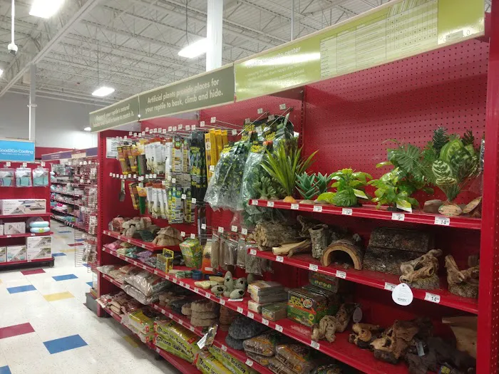 Petco Picture 8