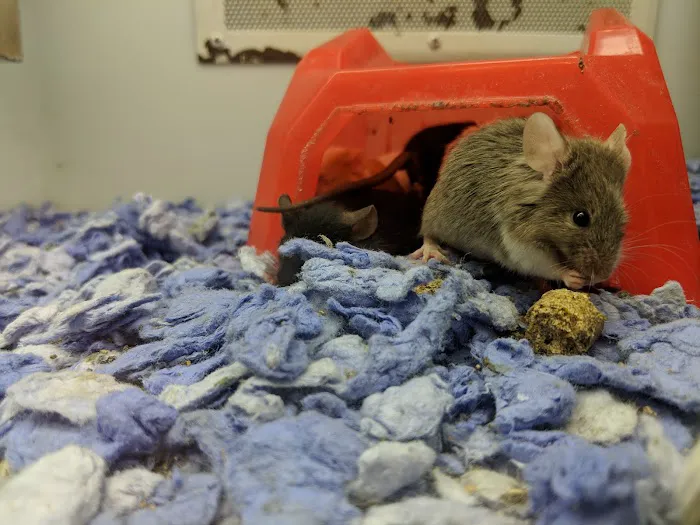 Petco Picture 1