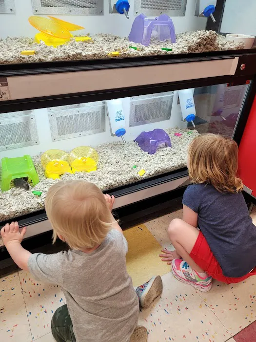 Petco Picture 10