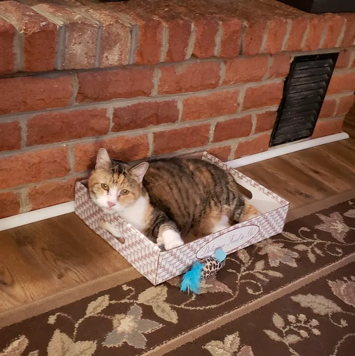 Mountain View Animal Emergency Picture 1