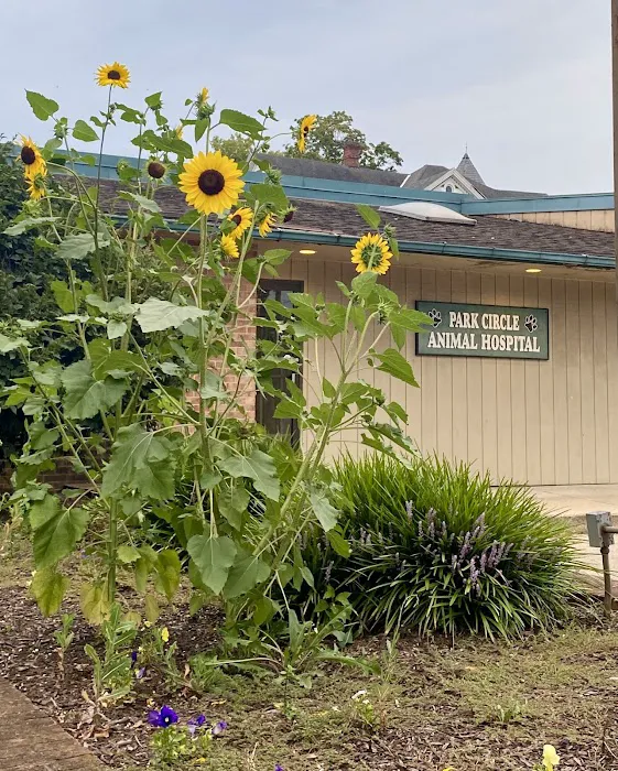 Park Circle Animal Hospital Picture 6