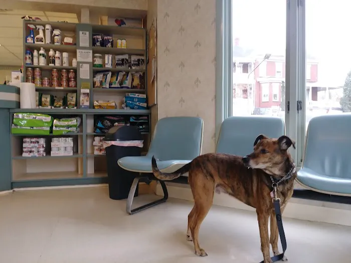 Park Circle Animal Hospital Picture 1
