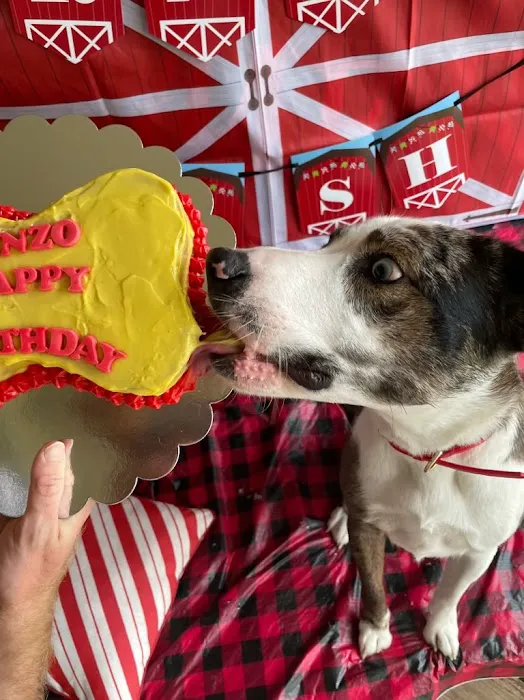 Bonnie's Pup Cakes Picture 2