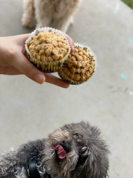 Bonnie's Pup Cakes Picture 1