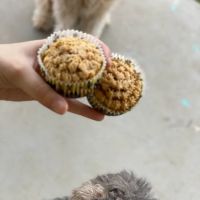 Bonnie's Pup Cakes ico
